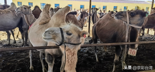 b47787e9422743adbc0aebca7e895ad3_tplv-obj_4096_1904