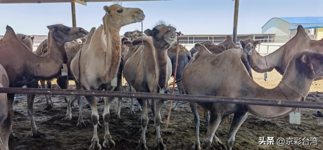 d3e62825eace4726b28f2a5ab8137486_tplv-obj_4096_1904