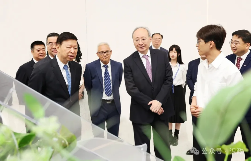 2025-07-04_112046 2025-07-04_112046